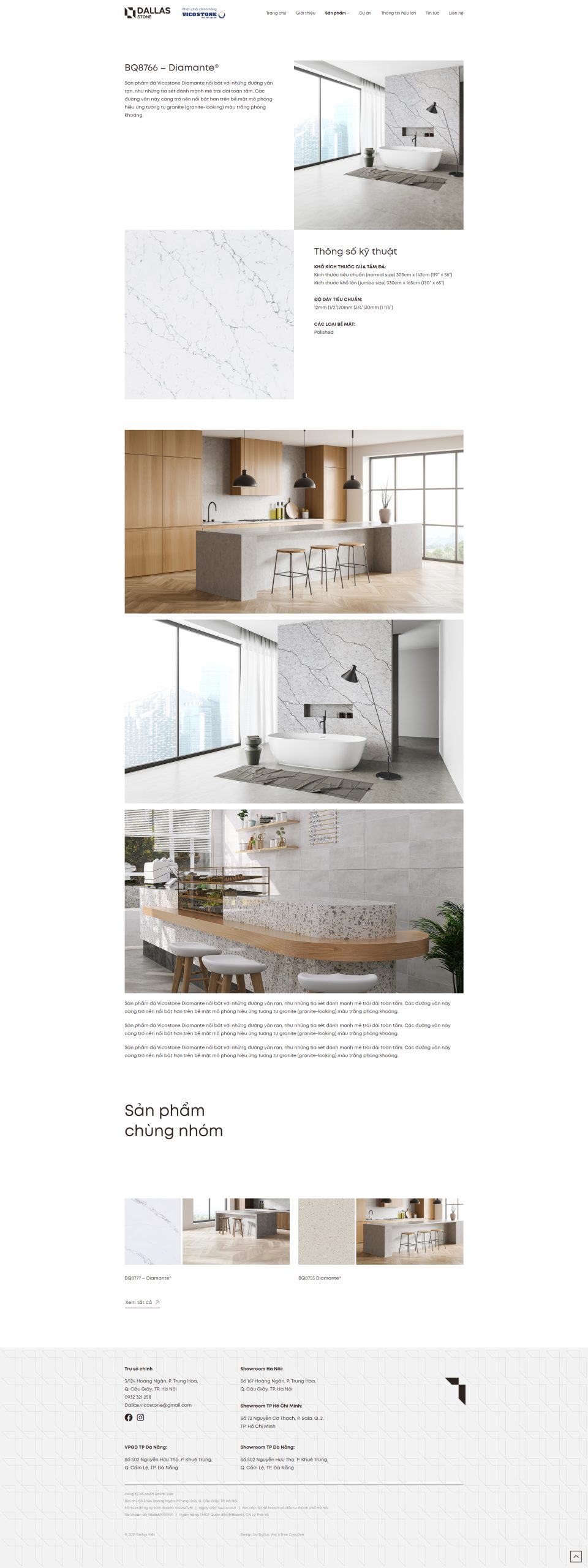 dallas viet website 3 scaled