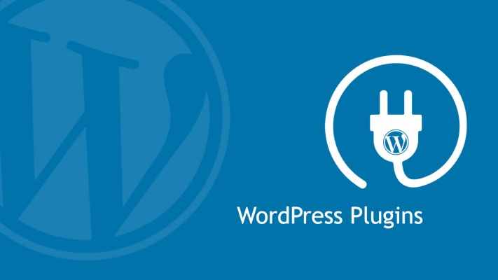 chan cai plugin wordpress05